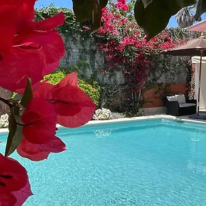 With Private Swimming Pool And Garden , Cascaes Portugal